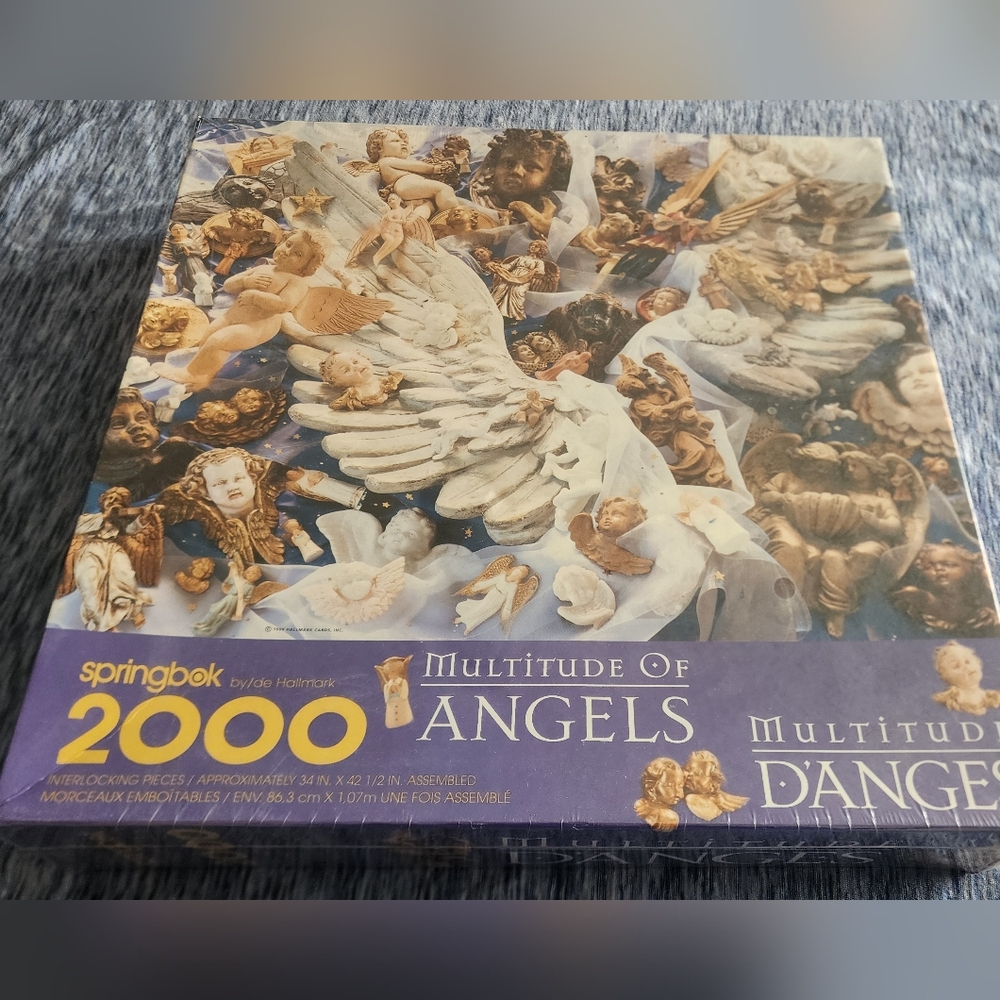Multitude of angels puzzle